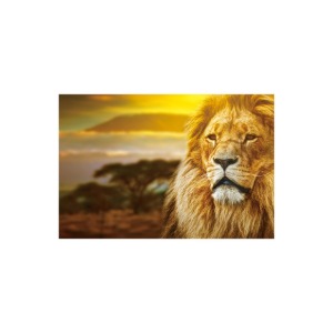 동물의 왕국 1000피스 퍼즐 액자 옵션 사진퍼즐 제작 가능 044_07