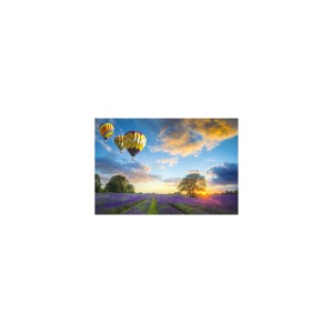 라벤더 정원, 열기구, 올림픽 공원 1000피스 퍼즐 액자 옵션 사진퍼즐 제작 가능 096_01